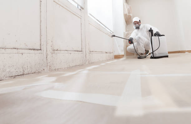24/7 Emergency Mold Remediation experts in Huntington, VA