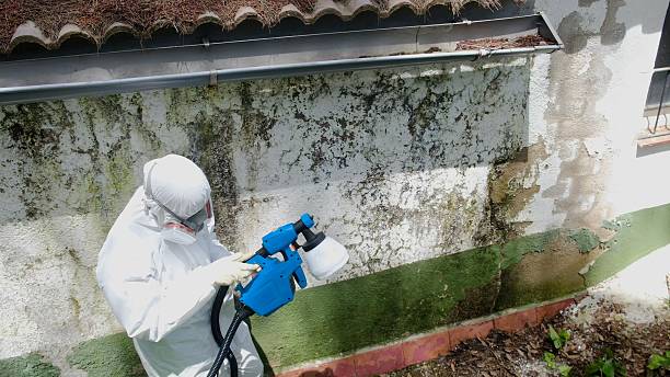Top rated local Mold Remediation specialists in Huntington, VA